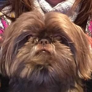 Meet your Posher, Kimberly